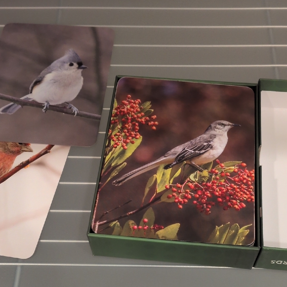 New In box...Backyard Birds Flash Cards - Picture 5 of 5